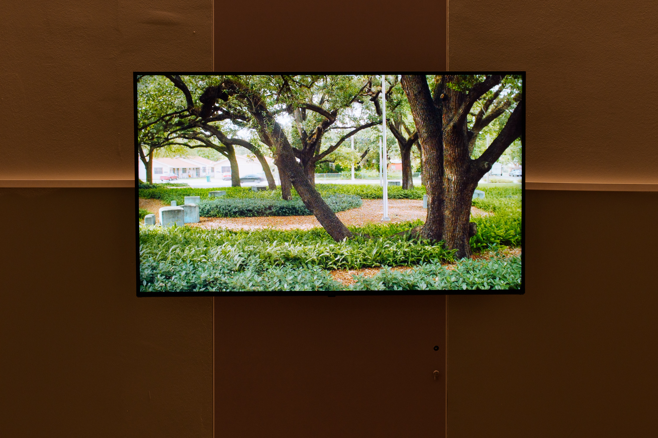 Wall-mounted monitor displaying outdoor park scene, Beverly Buchanan exhibition at La Biennale di Venezia