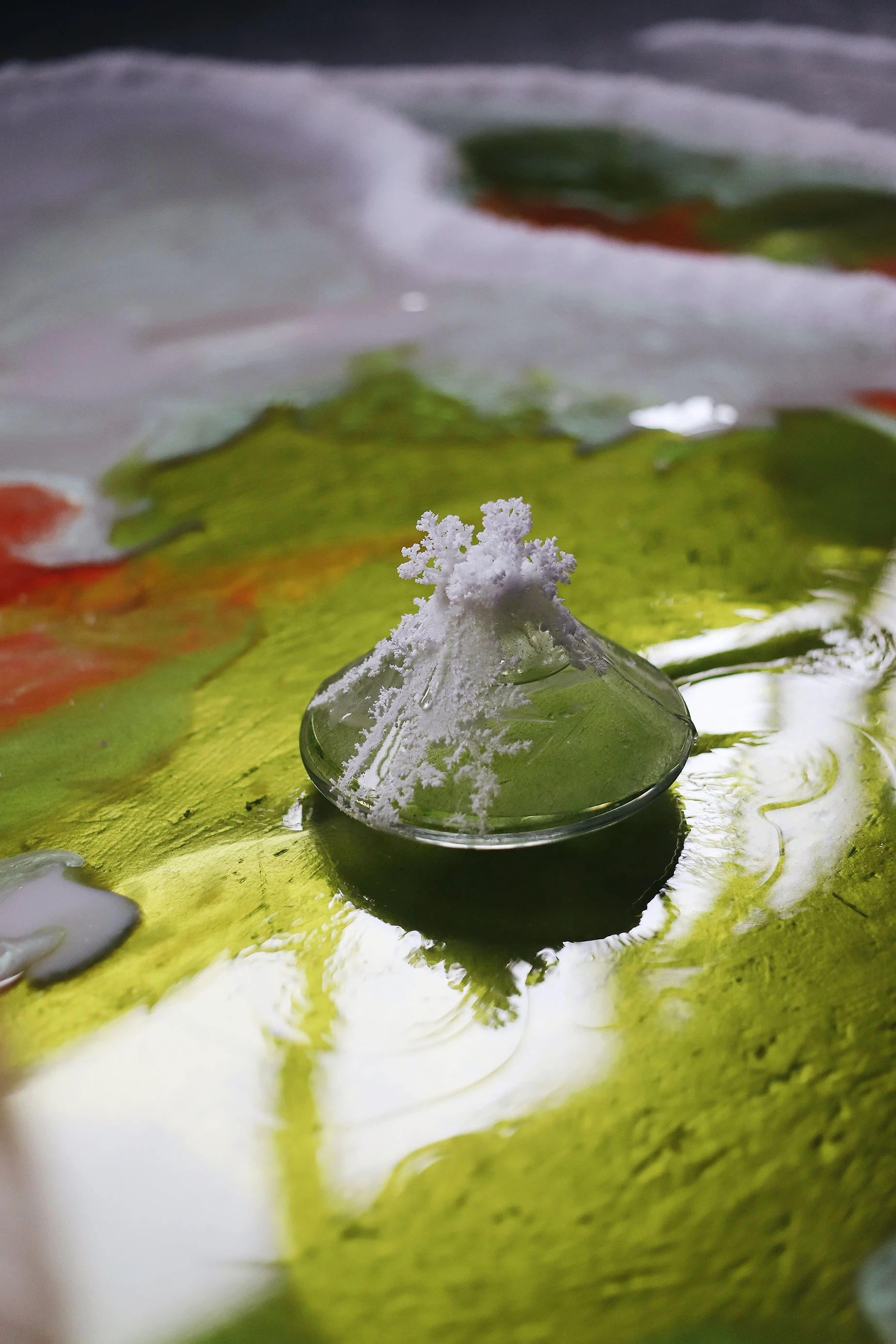 Tales of Potassium by Irene de Boer — crystalline white salt formation erupting from a glass dish on vivid green surface