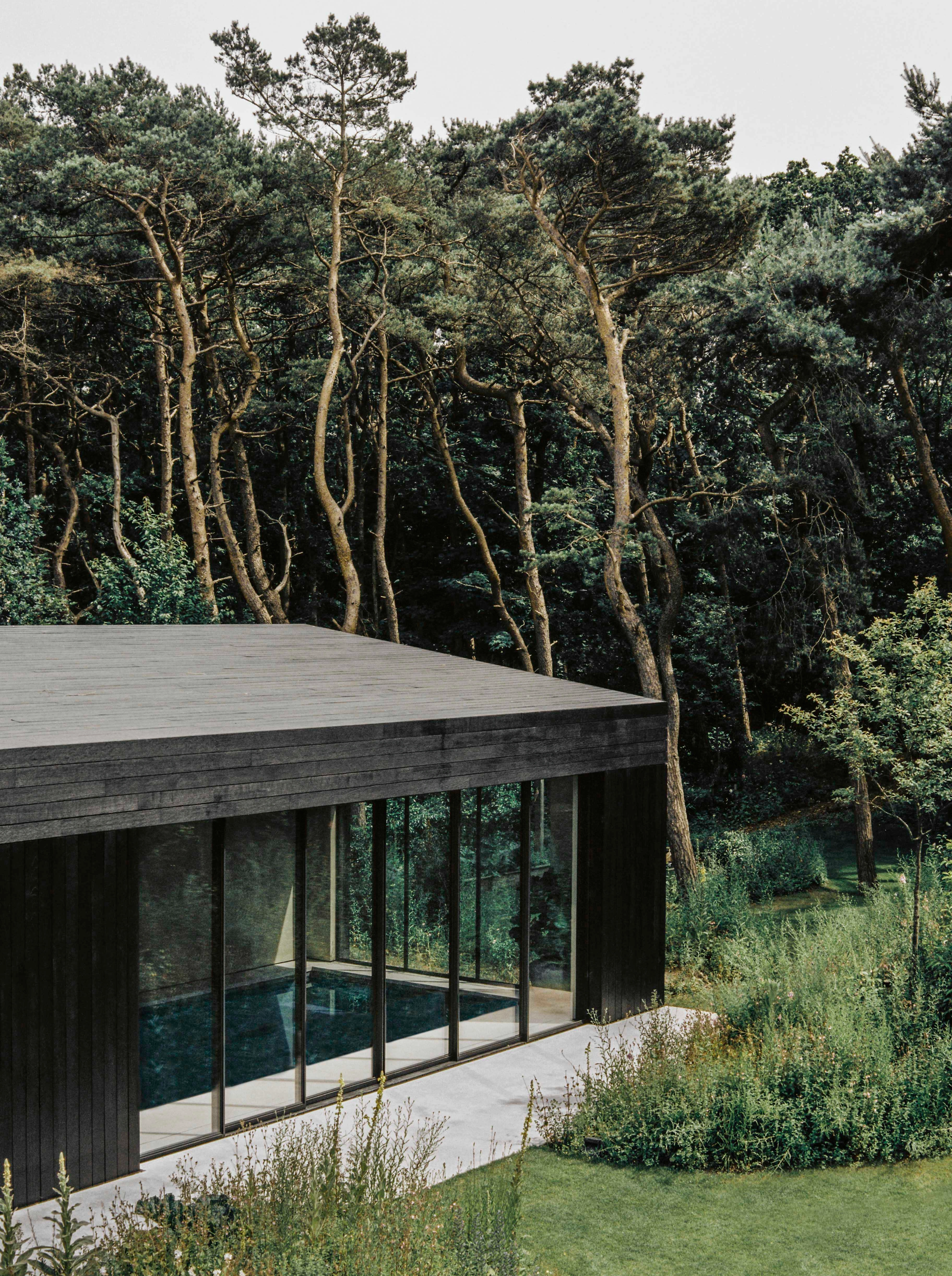 Exterior view of a dark timber-clad modern house with floor-to-ceiling glass walls revealing an indoor swimming pool, set within a dense pine forest with tall trees, surrounded by wild grasses and a manicured lawn. Nicolas Schuybroek