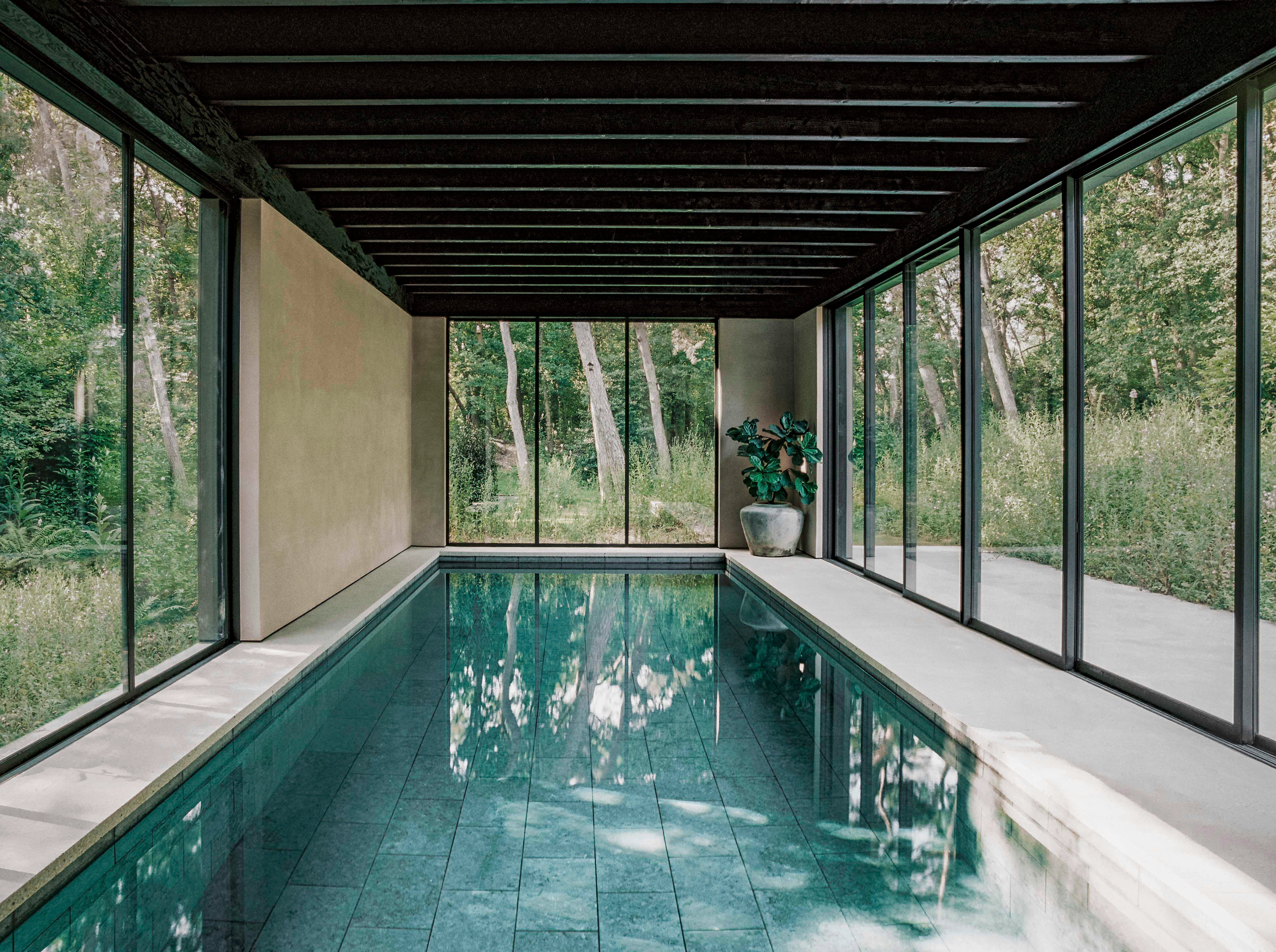 Indoor swimming pool enclosed by floor-to-ceiling glass walls and a dark wood beamed ceiling, with a potted fiddle-leaf fig plant beside the pool, surrounded by a lush green forest visible through the glass. Nicolas Schuybroek