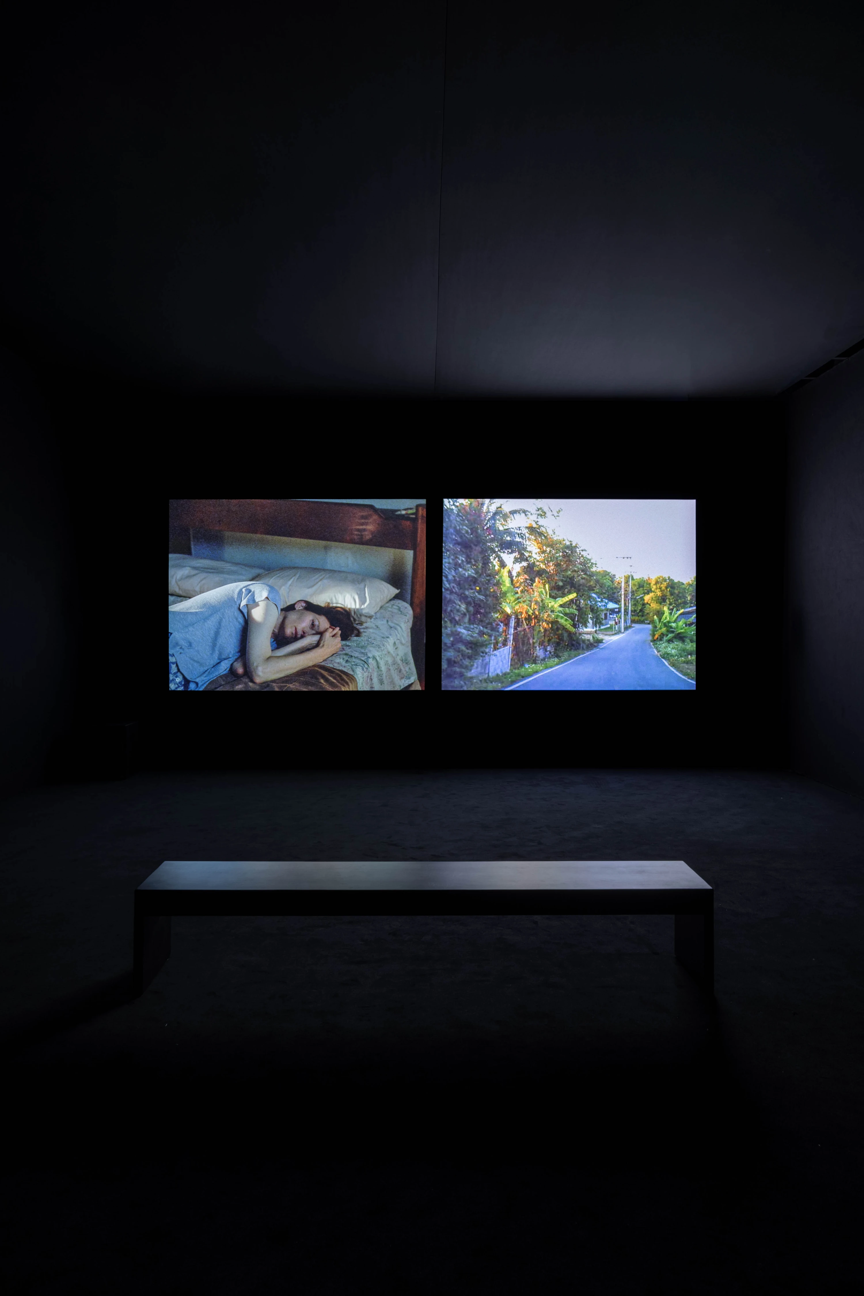 Dual-channel video installation by Ryuichi Sakamoto and Apichatpong Weerasethakul at Hamburger Bahnhof, 2026